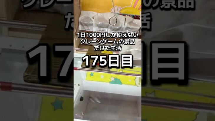 1日1000円しか使えないクレーンゲームの景品だけで生活175日目 #clawmachine #クレーンゲーム #ゲームセンター #ufoキャッチャー #フック設定 #ゲーセン