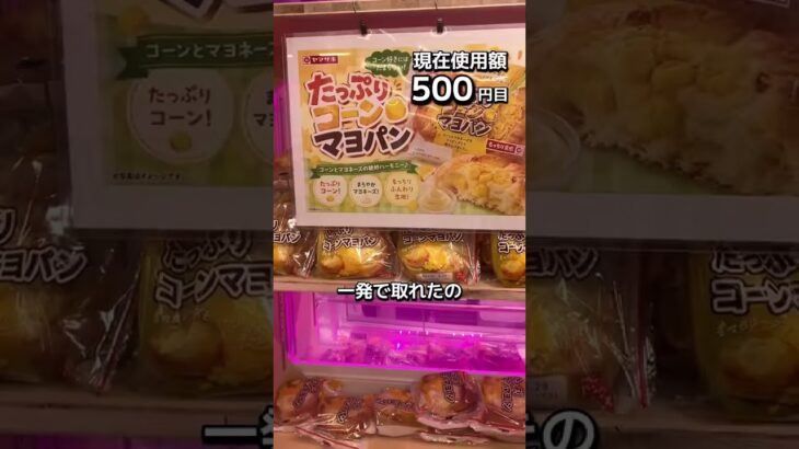 1日1000円しか使えないクレーンゲームの景品だけで生活190日目 #clawmachine #クレーンゲーム #ゲームセンター #ufoキャッチャー #ゲーセン #フック設定