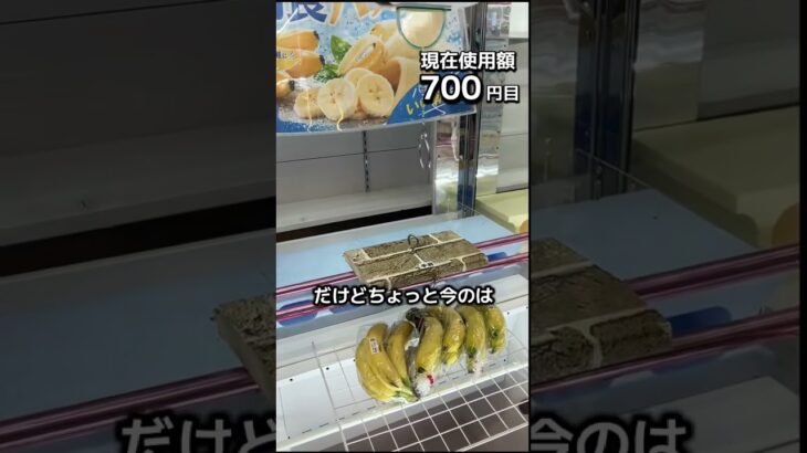 1日1000円しか使えないクレーンゲームの景品だけで生活194日目 #clawmachine #クレーンゲーム #ゲームセンター #ufoキャッチャー #ゲーセン #フック設定