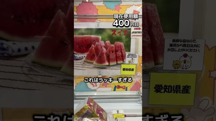 1日1000円しか使えないクレーンゲームの景品だけで生活197日目 #clawmachine #クレーンゲーム #ゲームセンター #ufoキャッチャー #ゲーセン #フック設定