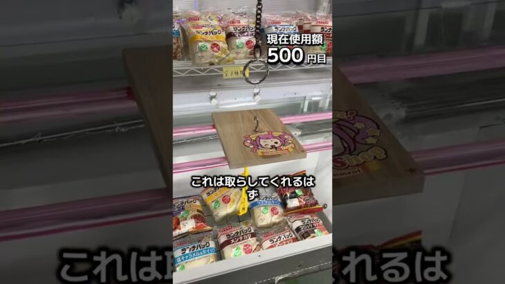 1日1000円しか使えないクレーンゲームの景品だけで生活198日目 #clawmachine #クレーンゲーム #ゲームセンター #ufoキャッチャー #ゲーセン #フック設定