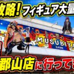 【クレーンゲーム】【#14】アームの開閉度に苦戦！？新景品＆人気景品を狙ってみた【結屋大和郡山店】