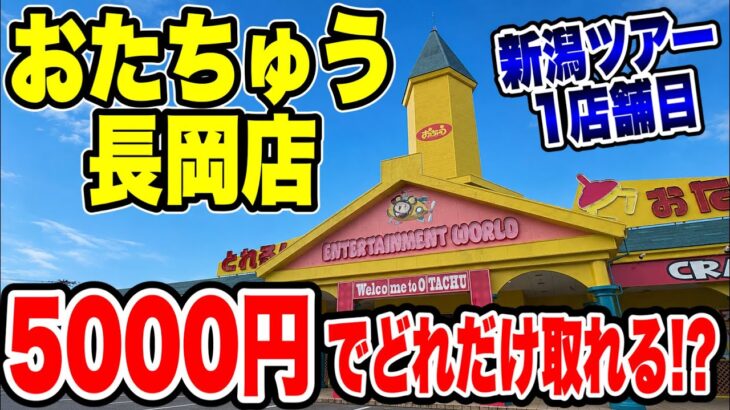 【クレーンゲーム】新潟ツアー1店舗目！おたちゅう長岡店で5000円チャレンジ！景品でどれだけ取れる！？🔥