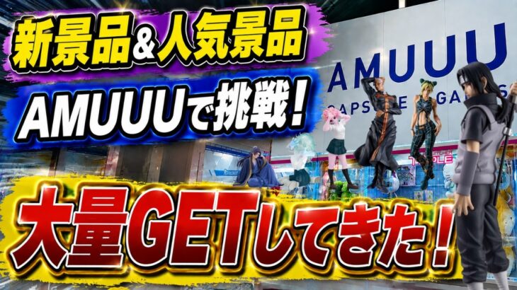 【クレーンゲーム】【#19】人気景品「イタチ」に挑戦！新景品＆人気景品を大量GET！【AMUUU紀伊川辺店】
