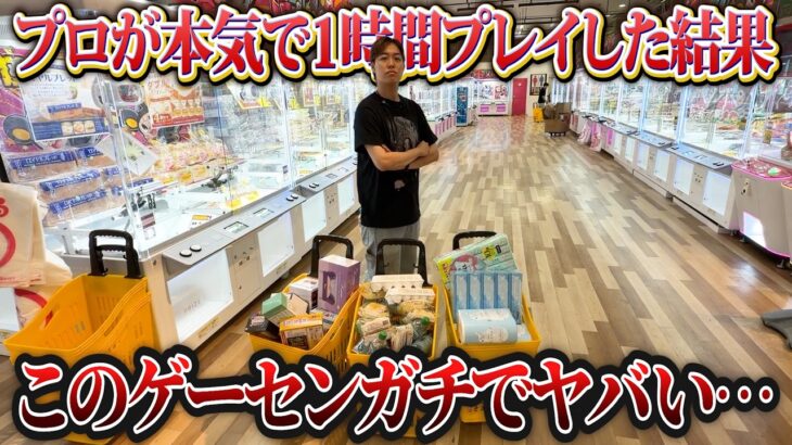 【1時間で何個取れる!?】クレーンゲームのプロが初めて行くゲーセンで本気攻略した結果…【UFOキャッチャー・ゲーセン】