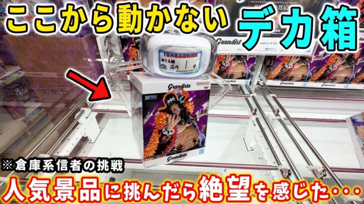 【クレーンゲーム】重量1kgオーバーの超デカ箱フィギュアに挑んだら絶望を感じました。キルア ワンピース ゾロ ティーチ Grandista 【万代書店川越店 橋渡し攻略 倉庫系】ハンターハンター