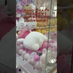 クレーンゲームプロ 風の王 男磨きハウス2 かけぞう どデカ！ キティちゃん ゲット！ #UFOキャッチャー #ゲームセンター #クレーンゲーム攻略