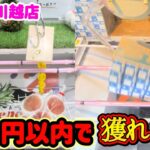 【200円で十分！】クレーンゲーム日本一獲れるお店で200円以内で景品の取るコツを紹介 【ベネクス川越店】 #2026年8月