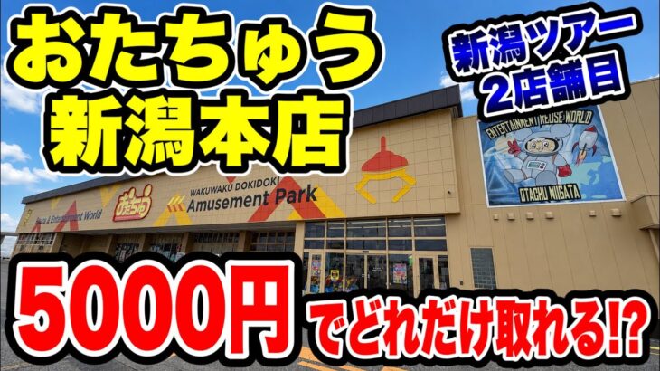 【クレーンゲーム】新潟ツアー2店舗目！おたちゅう新潟本店で5000円チャレンジ！景品何個取れる！？🔥
