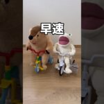 2人を競争させてみた#UFOキャッチャー #クレーンゲーム  #ゲームセンター #攻略 #shorts  #youtubeshorts