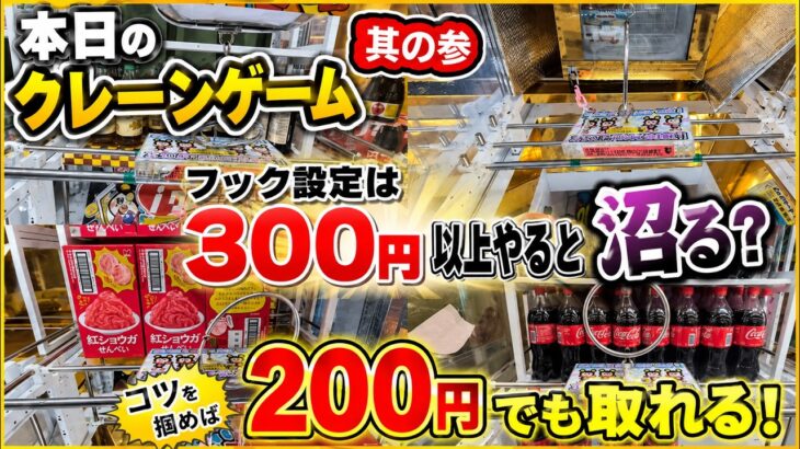 【本日のクレーンゲーム其の参】フック設定は300円以上やると沼る!? コツを掴めば200円でも取れる！