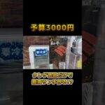 【予算3000円】クレーンゲームの景品だけで「最高のランチ」を作れるのか！？#ufoキャッチャー #クレゲ#クレーンゲーム#shorts