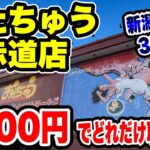 【クレーンゲーム】新潟ツアー3店舗目！おたちゅう赤道店で5000円チャレンジ！景品何個取れる！？🔥