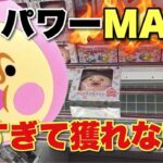 【クレーンゲーム】40周年パワーMAX！強すぎて困った…💧アミパラ加古川店でクレーンゲーム！