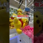 ​【栃木ゲーセン】設定が甘すぎる新店舗！大量獲得できるおすすめ景品4選​#PR #クレーンゲーム #アミュージアム栃木合戦場店 #栃木ゲーセン #UFOキャッチャー