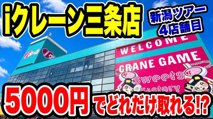 【クレーンゲーム】新潟ツアー4店舗目！iクレーン三条店で5000円チャレンジ！景品何個取れる！？🔥