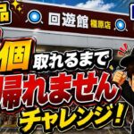 【クレーンゲーム】新景品5個獲るまで帰れません企画に挑戦したら…まさかの長期戦！？【回遊館橿原店】