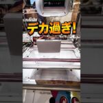 【6手攻略】 #橋渡し #クレーンゲーム #クレーンゲーム攻略 #shorts
