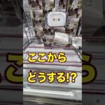 【7手攻略】 #橋渡し #クレーンゲーム #クレーンゲーム攻略 #shorts @cleuf2026