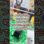 【クレーンゲーム】8/21 ラウンドワンでこびとづかんのついていくよBIGぬいぐるみを2手で簡単に取る取り方のコツをお見せします！ #shorts