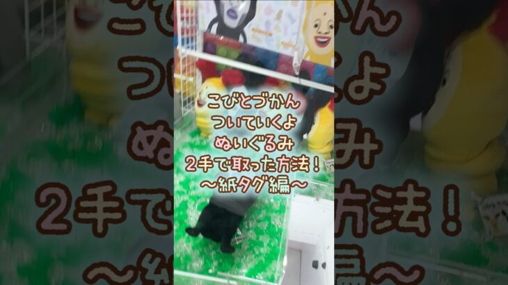 【クレーンゲーム】8/21 ラウンドワンでこびとづかんのついていくよBIGぬいぐるみを2手で簡単に取る取り方のコツをお見せします！ #shorts