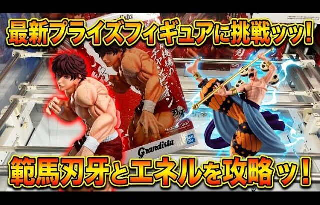 【クレーンゲーム】8/25登場初日に挑戦ッッ！橋幅狭めブースはこうして攻略すれば取れるッッ！