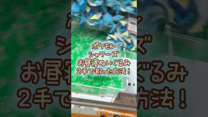 【クレーンゲーム】8/26 ラウンドワンでポケモンのもふぐっとぬいぐるみ シャワーズを2手で簡単に取る取り方のコツをお見せします！ #shorts