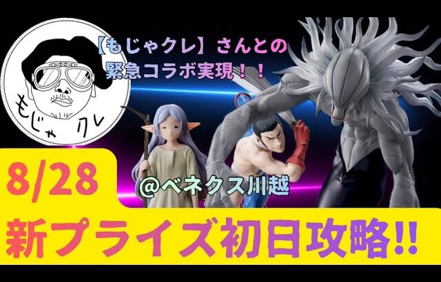 【クレーンゲーム】8/28新景品初日攻略！初コラボ実現！【もじゃクレ】さんご夫妻と一緒に楽しく獲得！　【呪術廻戦　リカ（完全顕現）、髙羽史彦】　【葬送のフリーレン　フリーレン】　【ベネクス川越】