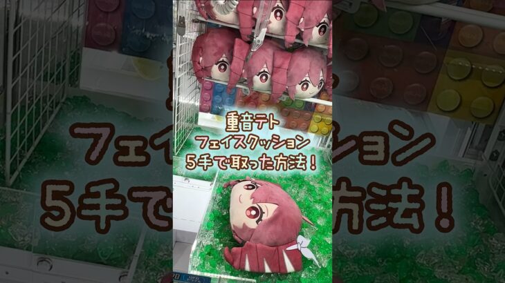 【クレーンゲーム】8/3 ラウンドワンで重音テトのフェイスクッションのぬいぐるみを5手で簡単に取る取り方のコツをお見せします！ #shorts