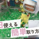 【クレーンゲーム】8/7 ラウンドワンでぬいぐるみを簡単に取る取り方のコツをお見せします！