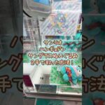 【クレーンゲーム】8/7 ラウンドワンでサンリオのハンギョドンのサングラスBIGぬいぐるみを2手で簡単に取る取り方のコツをお見せします！ #shorts