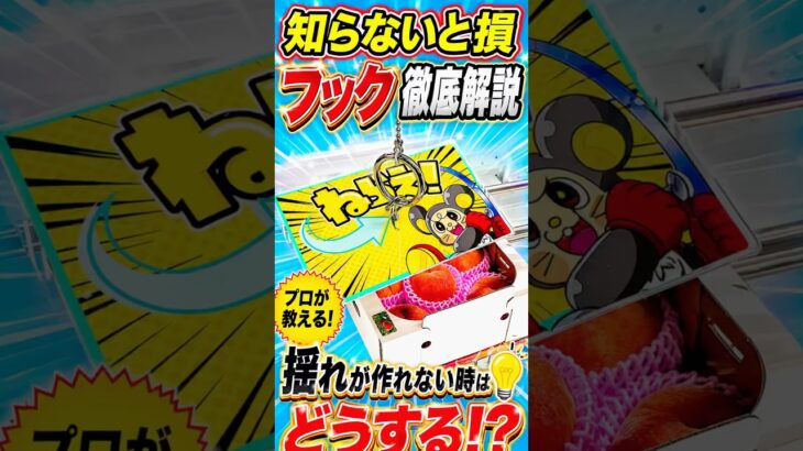 【9割が知らない】5000円使っても取れなかったフックの驚くべき攻略法がヤバすぎたwww #クレーンゲーム #ufoキャッチャー # ゲーセン #ゲームセンター #arcade