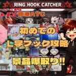 クレーンゲーム専門店・トレジャーランド南港ATC【フック設定・クレーンゲーム】初めてのL字フック攻略！景品爆取!!