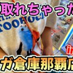 【クレーンゲーム】沖縄のマンガ倉庫はめっちゃBEGINしてました🌺 マンガ倉庫那覇店さん#clawmachine #沖縄 #ゲームセンター