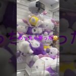 神回‼️クロミちゃん‼️#ショート #サンリオ  #クレーンゲーム #BIGぬい #プライズ獲得 #プライズ景品