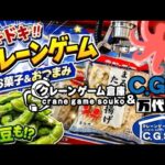 「クレーンゲーム×アニソン風楽曲」果物、野菜、冷凍食品だって有るクレーンゲーム倉庫CGS前橋店。