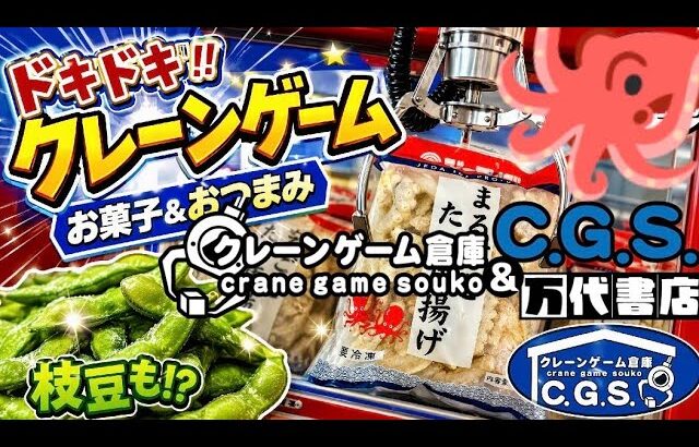 「クレーンゲーム×アニソン風楽曲」果物、野菜、冷凍食品だって有るクレーンゲーム倉庫CGS前橋店。