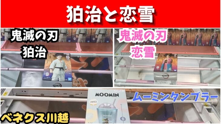 狛治と恋雪　ベネクス川越で今更GET!　ムーミンタンブラーも
