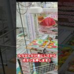 まさかのスイカ！？🍉 クレーンゲームでGET!!🔥