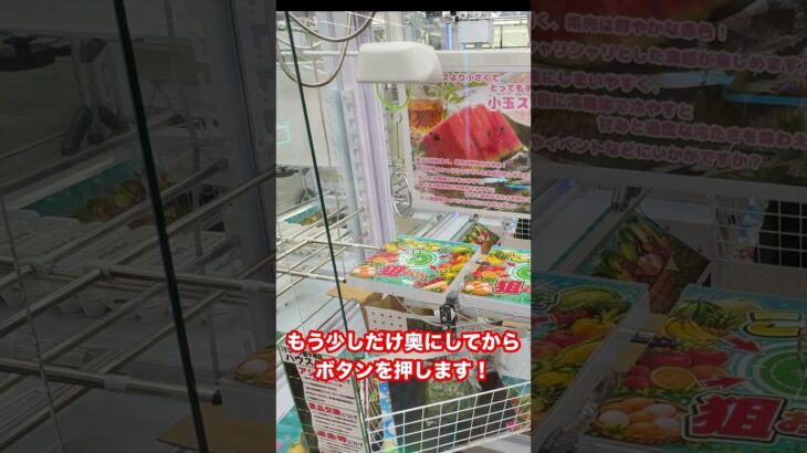 まさかのスイカ！？🍉 クレーンゲームでGET!!🔥