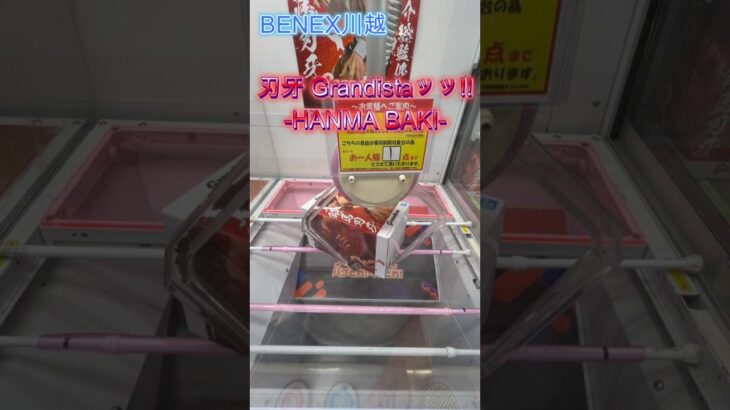 刃牙 Grandistaッッ!! HANMA BAKI  #クレーンゲーム #初心者 #ufoキャッチャー  #ベネクス川越 #攻略 #刃牙
