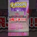 【ポケカが取れる】高額景品が取れるHAO中野のゲームセンターで1万円チャレンジ！  #クレーンゲーム #ゲームセンター #ufoキャッチャー