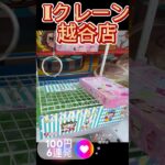 【クレーンゲーム】Iクレーン越谷店久しぶりに行ってみた🎪フック設定🪝ロングチェーン⛓️デカリング#Iクレーン#越谷店#クレーンゲーム #Iクレーン#雑貨#食品#UFOキャッチャー