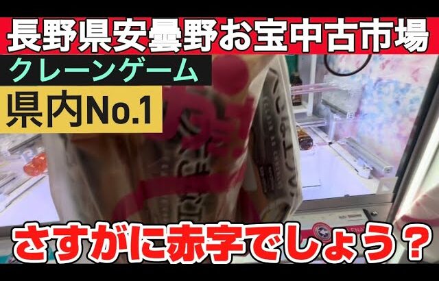 【県内No.1クレーンゲームお宝中古市場安曇野店】ほんとにここまで獲れて良いのだろうか､､､神設定過ぎる