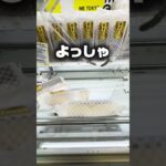 【クレーンゲーム】カステラを安く大量ゲットする攻略法！止めがけも決まった！ #Shorts