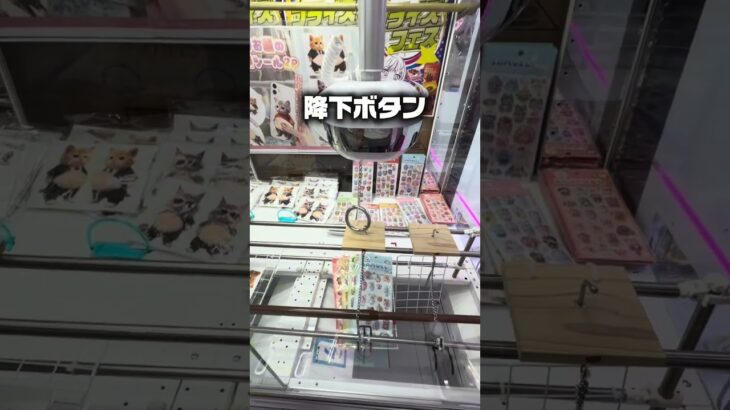 【神攻略】レバー式フック設定は〇〇のタイミングで落とせば誰でも獲れる！ #Shorts
