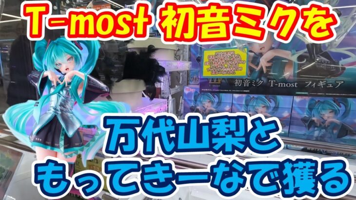 【クレーンゲーム】【倉庫系】T-most #初音ミク を #万代山梨 と #もってきーな韮崎 で攻略してみた！？らやばい結果に!!