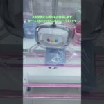 #北海道 #札幌市 #厚別区 #新札幌 #キャッツアイ #ゲームセンター #ゲーセン #ゲーム #クレーンゲーム #UFOキャッチャー #サンリオ #シナモンロール #必見 #チャレンジ #挑戦#景品