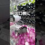 黒すぎるミャクミャクを取ってみた#UFOキャッチャー #クレーンゲーム  #ゲームセンター #攻略 #shorts  #youtubeshorts
