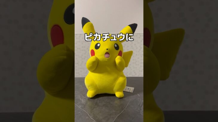 ピカチュウにピカチュウを被せてみた#UFOキャッチャー #クレーンゲーム  #ゲームセンター #攻略 #shorts  #youtubeshorts